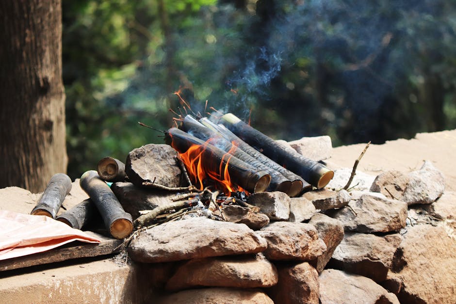 Firestick Écran Accueil